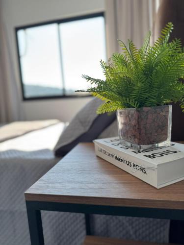 Ibirama Apartment | Apartamentos Novos com Charme no centro de Ibirama