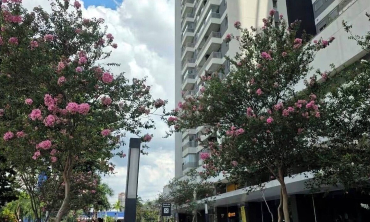 Osasco Apartment | Confortável e estiloso apartamento completo com 2 quartos, sendo uma suíte.