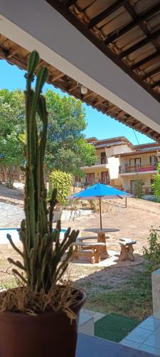 Pipa Apartment | Flat Village Paraíso da Lua