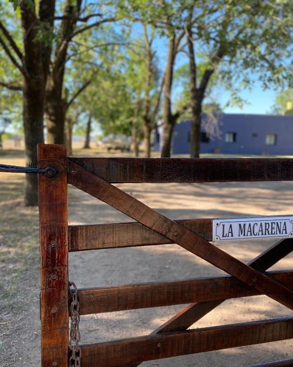 Navarro House | La Macarena