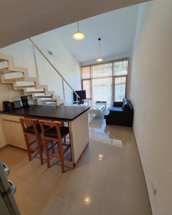 Province of Tierra del Fuego Apartment | LiveUshuaia Loft Mountain View
