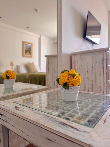 Macae Apartment | Loft vistamar business completo
