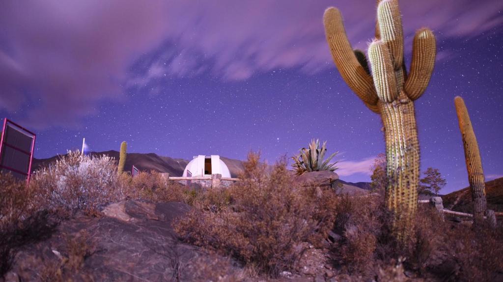 Ampimpa House | Observatorio Ampimpa