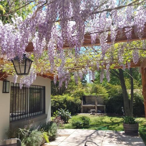 Chacras de Coria House | Old Willow
