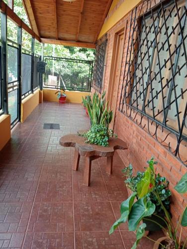 Puerto Libertad House | Silvia