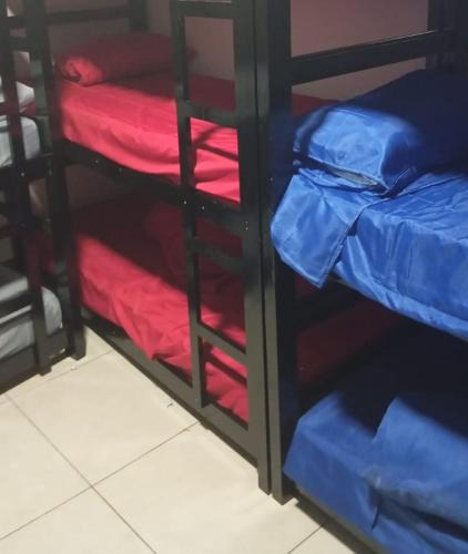 Saude House | SP Hostel