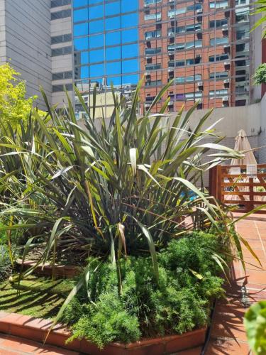 Retiro Apartment | Suipacha Exclusive Apart