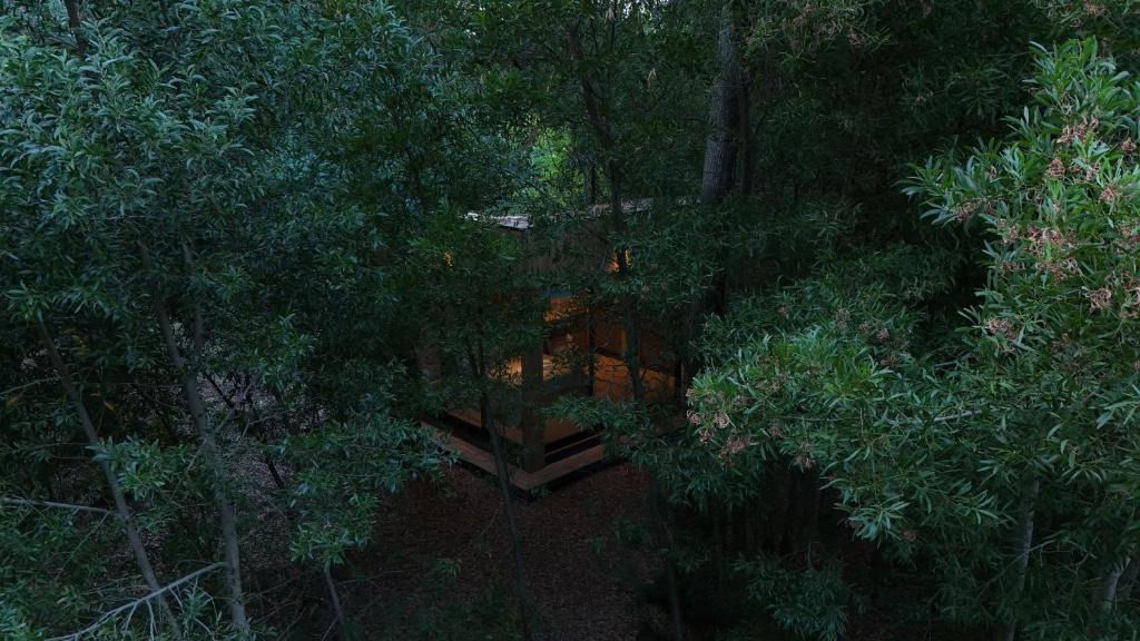 Chascomus House | Tiny house en pleno bosque a metros de la laguna