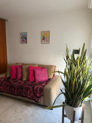 Partido de Ramallo Apartment | Viejo Stud