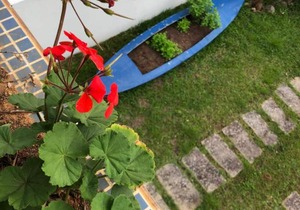 Casa em Bombinhas, zimbros