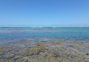Casa em Serrambi in Porto De Galinhas