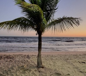 Com Cozinha Banheiro Barra Una São Sebastião 