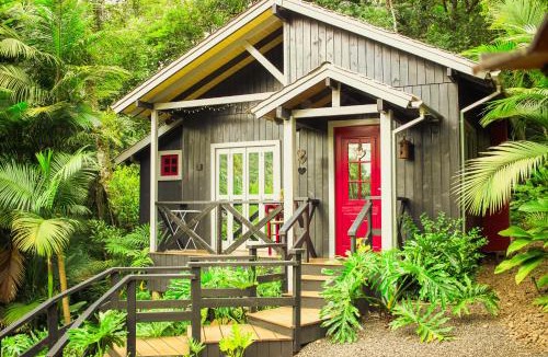 Timbe do Sul Cabin | Aconchego dos Pássaros