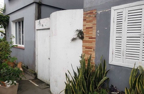 Centro Apartment | Adorable and simpl 1-bedroom apartment in Florianópolis perfect for your getaway