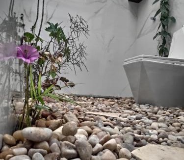 Aracati House | Anacardium
