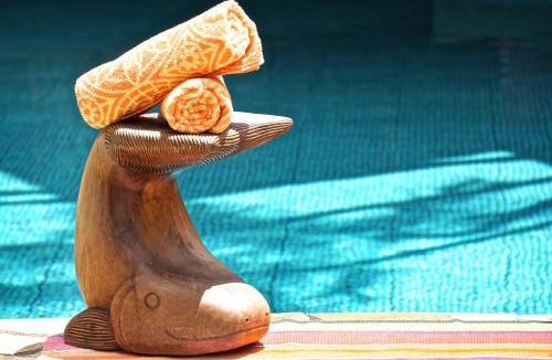 Buzios House | Anfiteatro Tropical