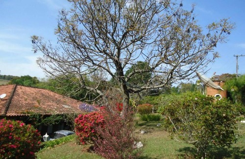 Jarinu House | Beautiful country property surrounded by nature in Jarinú
