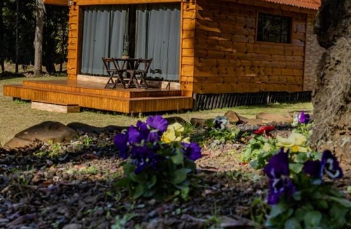 Sao Joaquim House | Cabana Pequeno Bosque som dás Águas