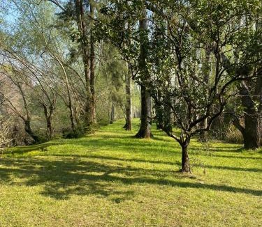 Partido de Tigre House | Casa al rio - Malen