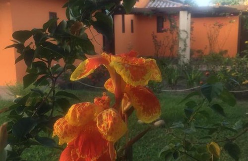 Bosque de Geriba House | Casa da Árvore