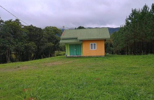 Doutor Pedrinho House | Casa das Palmeiras