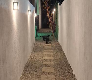 Arpoador House | Casa em Búzios para Curta e Longa Temporada