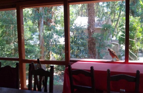 Bosque Peralta Ramos House | Casa en el bosque Peralta ramos para vacacionar