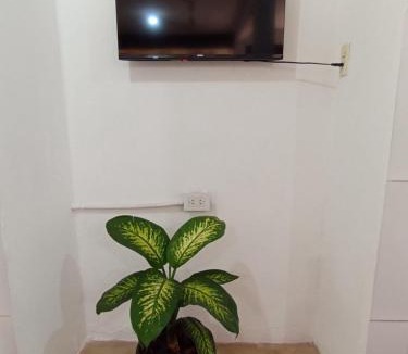 Jardin America Apartment | Casa jardin 2