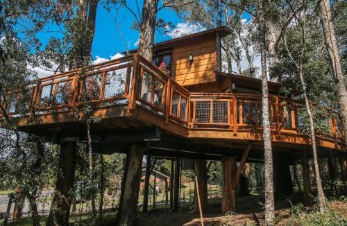 Farroupilha Villa | Casa na Árvore Aconchego Morada dos Vagalumes