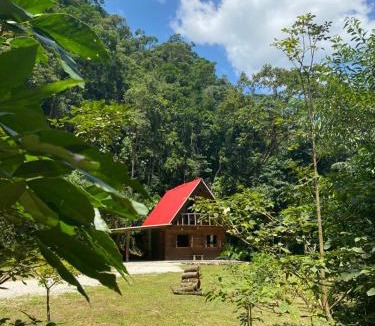 Guabiruba Ski Chalet | Chalé em meio à natureza!