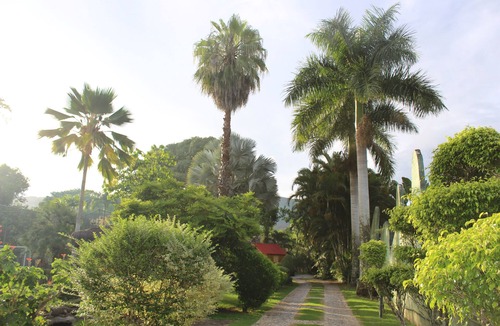 Vargem Grande House | Cinematic setting amidst nature, close to beaches and waterfalls! Min. 2 days.