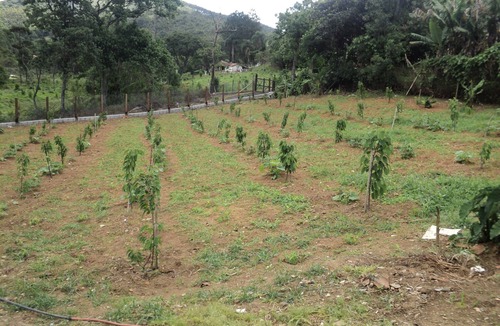 Nazare Paulista House | Countryside property, accommodates families with children and accepts pets.