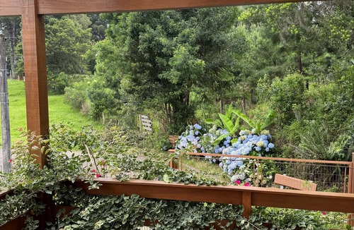 Canela House | COZY HOUSE IN CANELA/RS. WITH INTERNET AND WI-FI.
