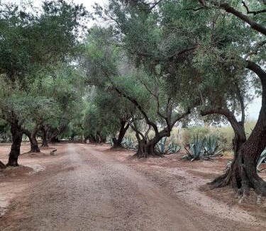 Copacabana Hotel | El Solar De Los Olivos