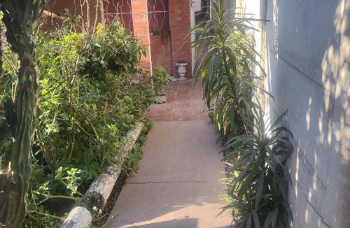 Almirante Brown Apartment | Elvira's natural lodge