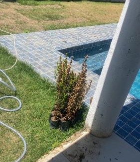 Abrantes House | Espaço com piscina