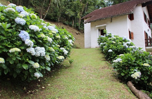 Maringa House | HOUSE SURROUNDED BY NATURE - MARINGÁ MG