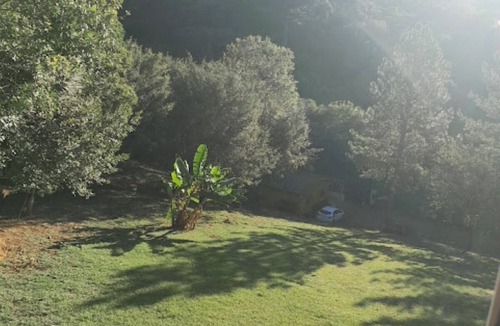 Augusta Cottage | House with swimming pool