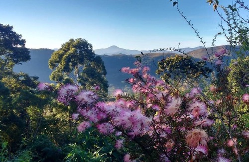 Aiuruoca House | Jacaranda Corner - House in the Matutu Valley