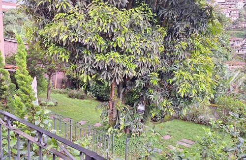 Ouro Preto House | Kadivó - a typical Minas Gerais house with a wood-burning stove.