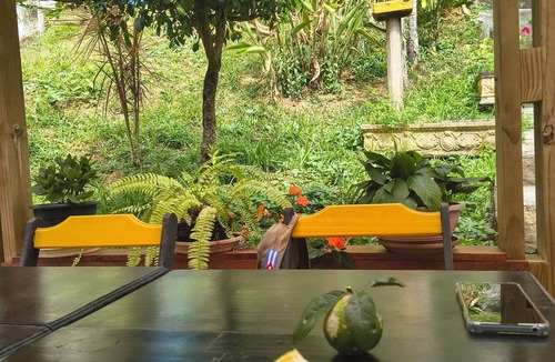 Umuarama Apartment | Lindo Estúdio na praia - Tranquilidade em Ubatuba para seu refúgio