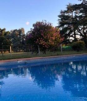Pilar Centro House | Los Pinos