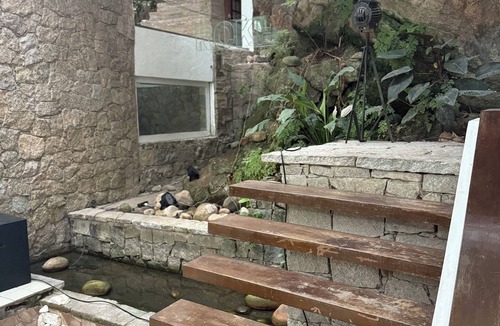 Joatinga Villa | Mansion immersed in nature with a waterfall in a triplex room. (Unique in the World)