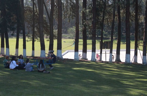 Mato do Gado Cabin | Marallin Camp