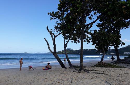 Barra da Lagoa House | natureza