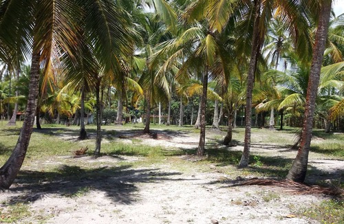 Ilheus House | Next Sierra Grande , beaches, trihas p paradizíacas beaches, waterfall Tijuipe