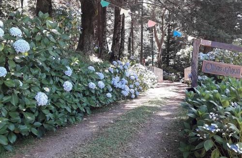 Sao Francisco de Paula Ski Chalet | Olhosdagua-SãoChico-Chalé