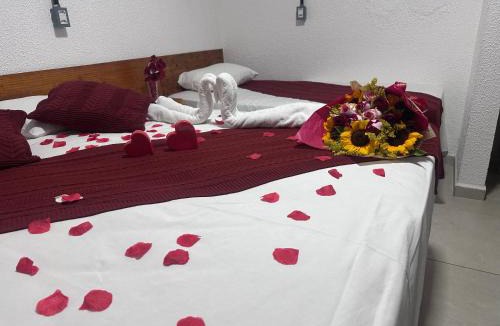Praia do Frances Hotel | Pousada Brisa e Mar