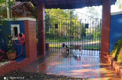 Juquitiba Cabin | Refúgio em meio à mata Atlântica