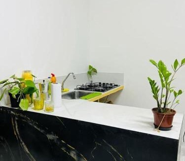 Sao Luis Historical Center House | Serrão House